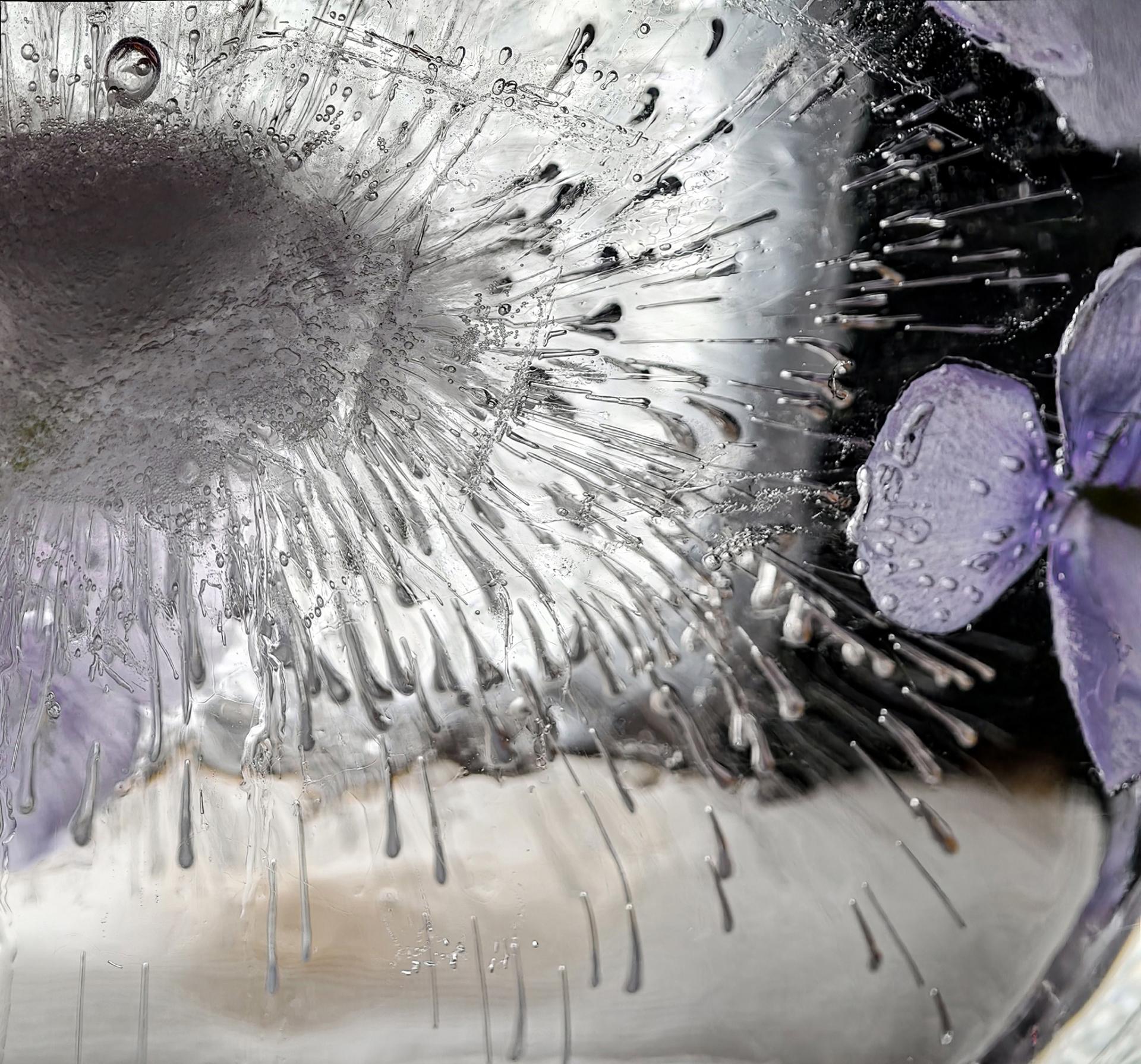 New York Photography Awards Winner - Frozen Blossoms
