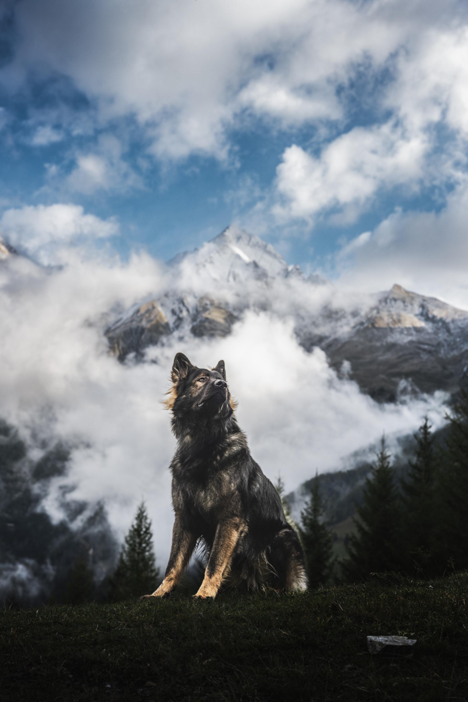 New York Photography Awards Winner - King of the Mountains