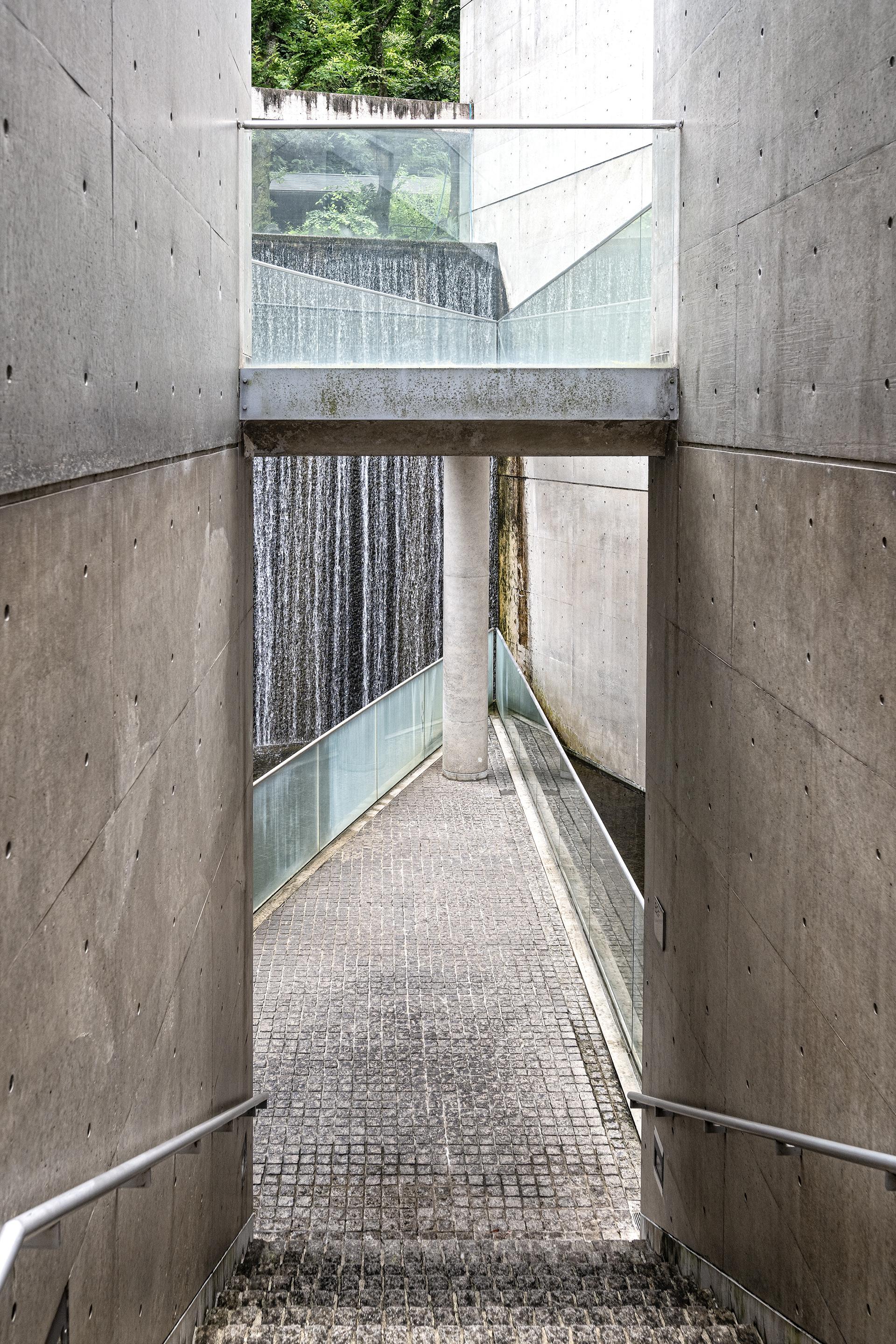 New York Photography Awards Winner - Garden of Fine Art