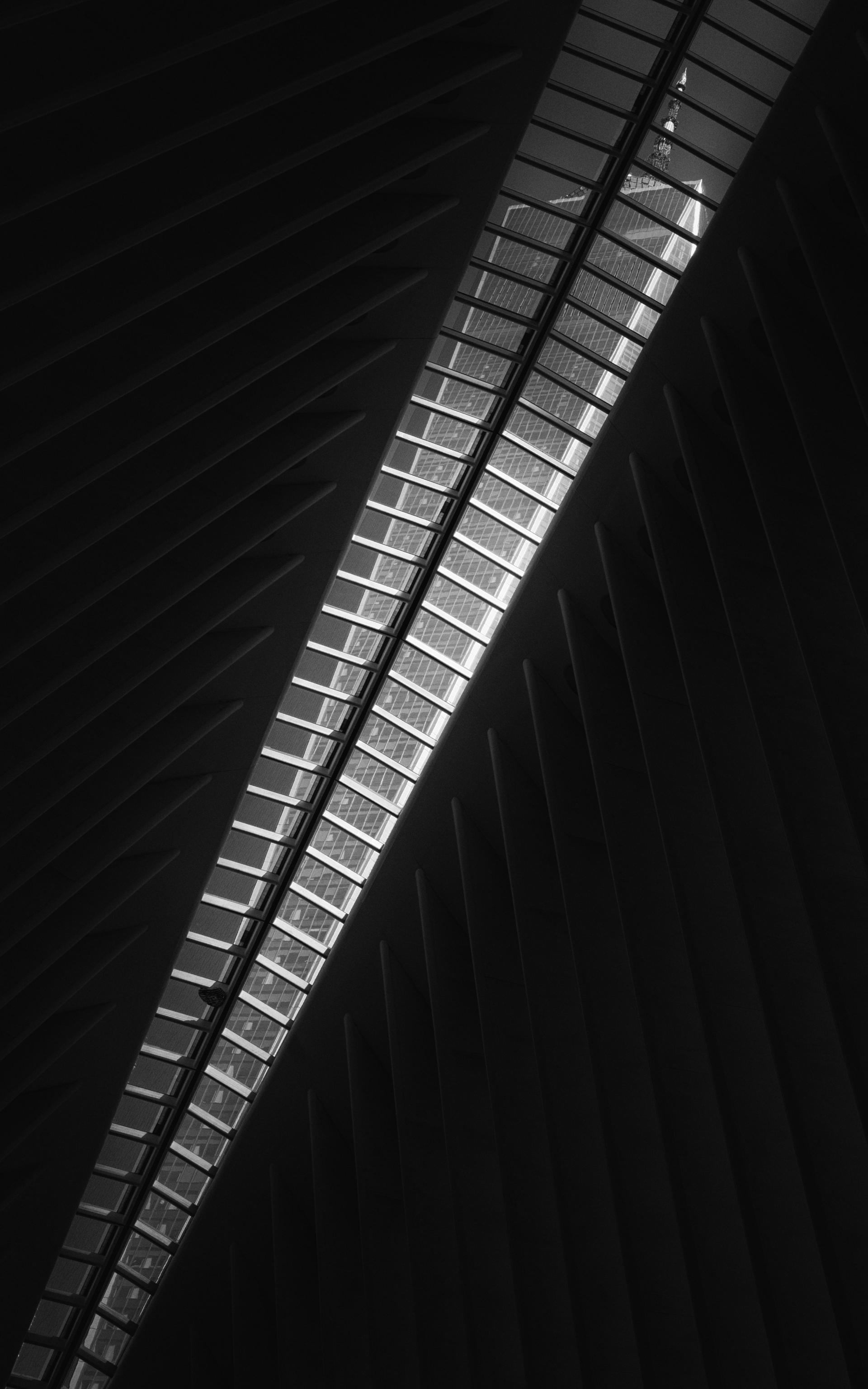 New York Photography Awards Winner - Faces of Cities