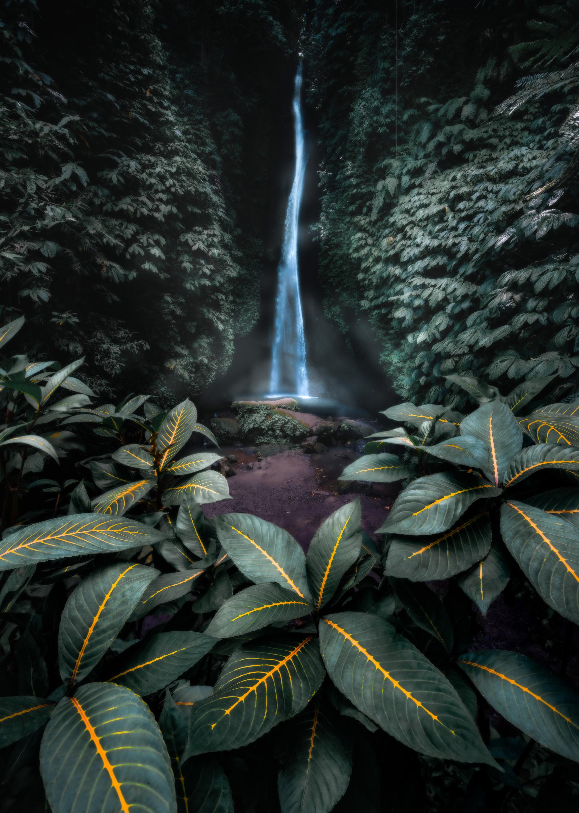 New York Photography Awards Winner - Into The Green Abyss