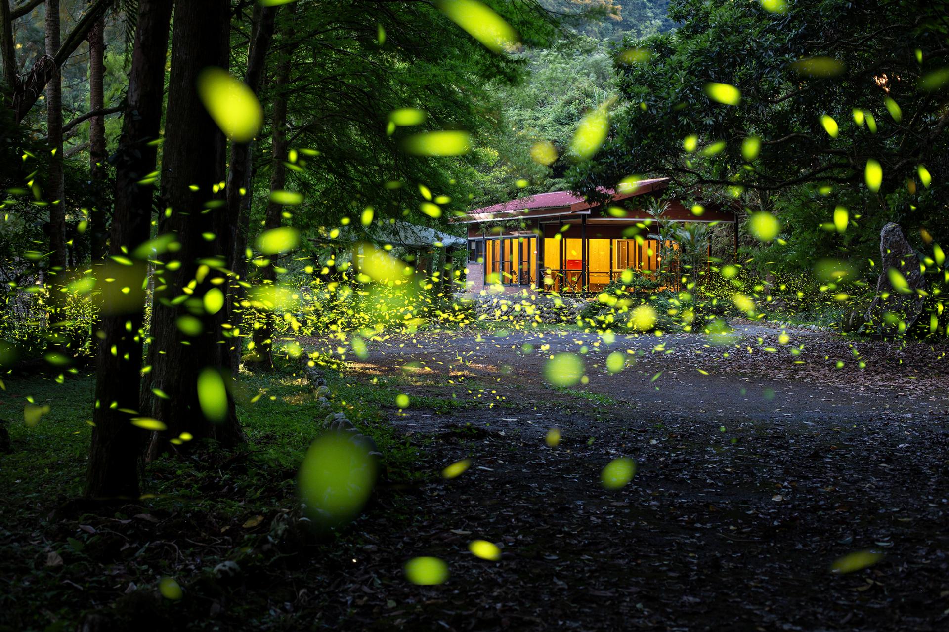 New York Photography Awards Winner - Summer Night Dance at the Retreat
