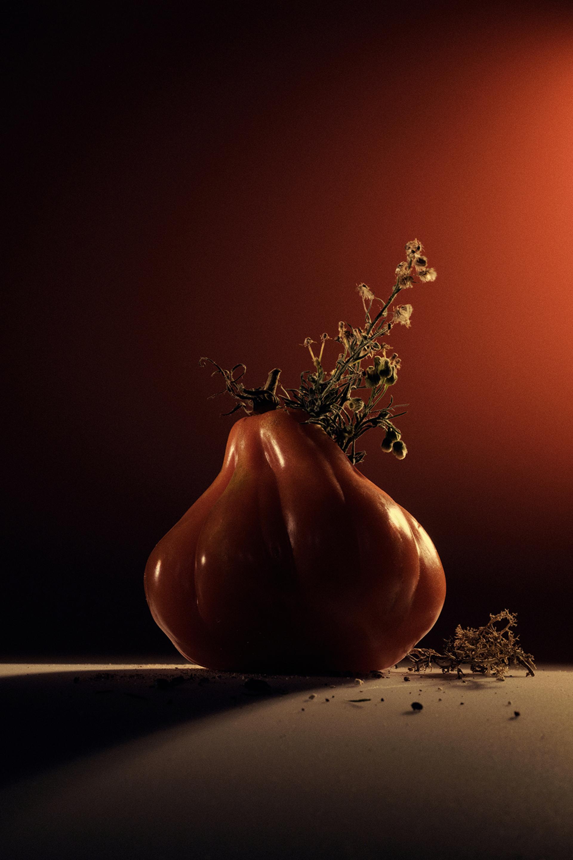 New York Photography Awards Winner - A PLACE TO GROW