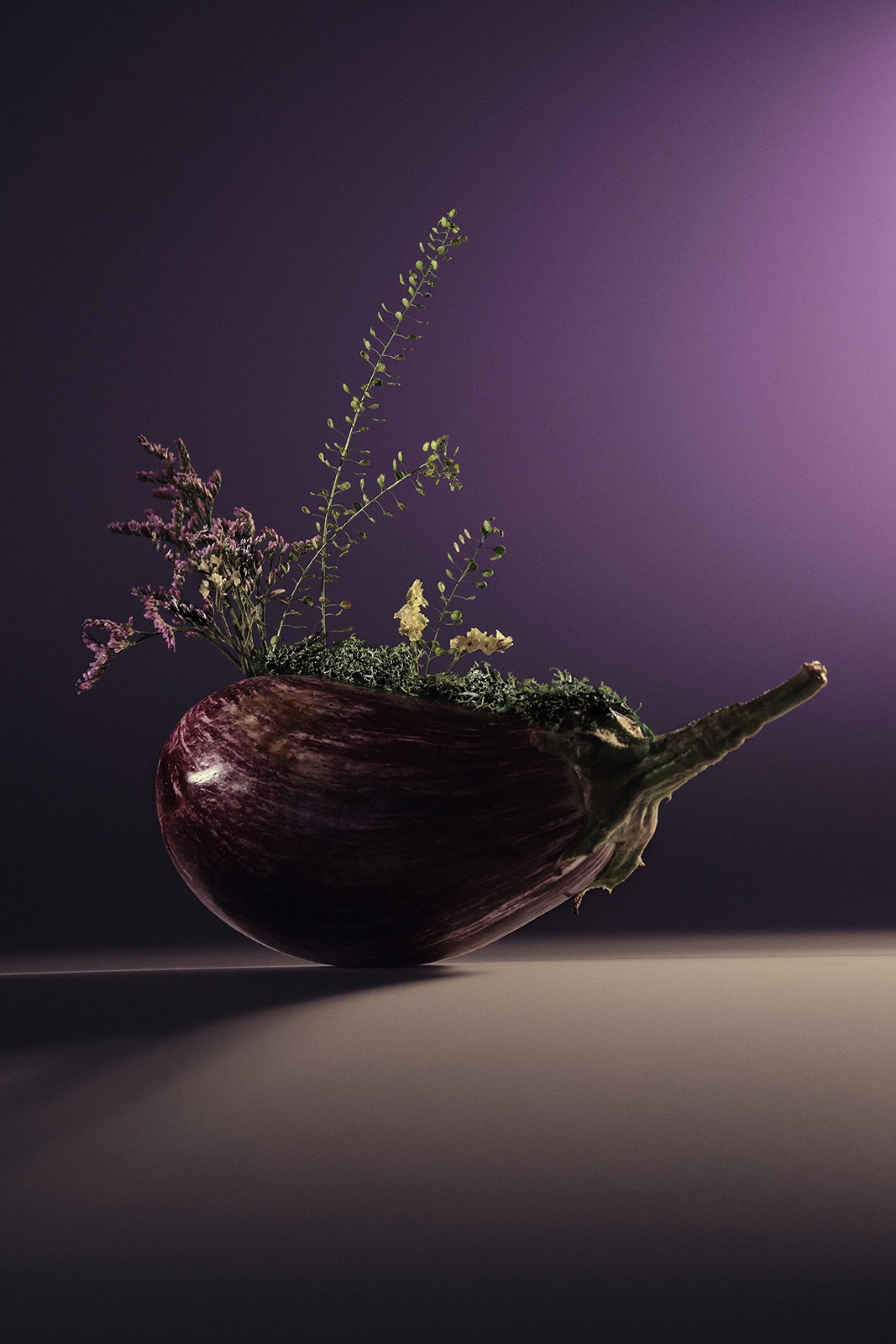 New York Photography Awards Winner - A PLACE TO GROW