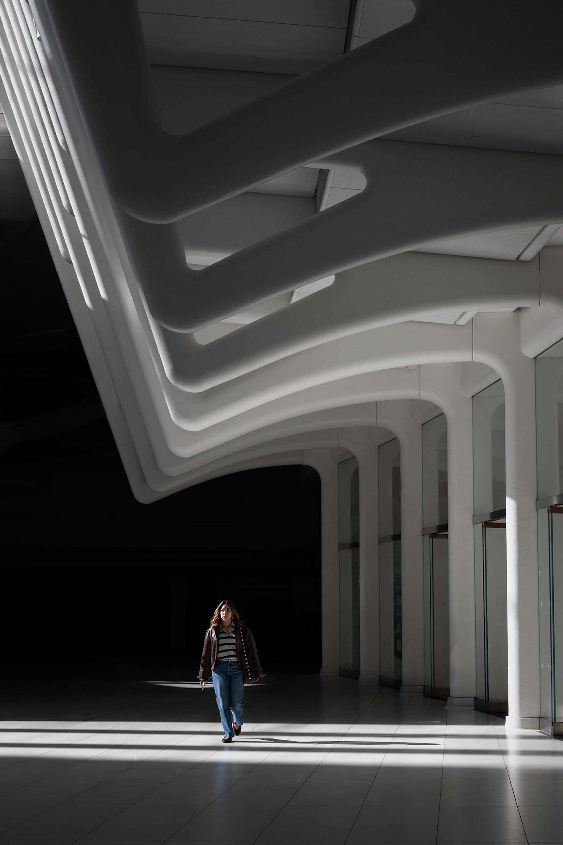 New York Photography Awards Winner - Construct