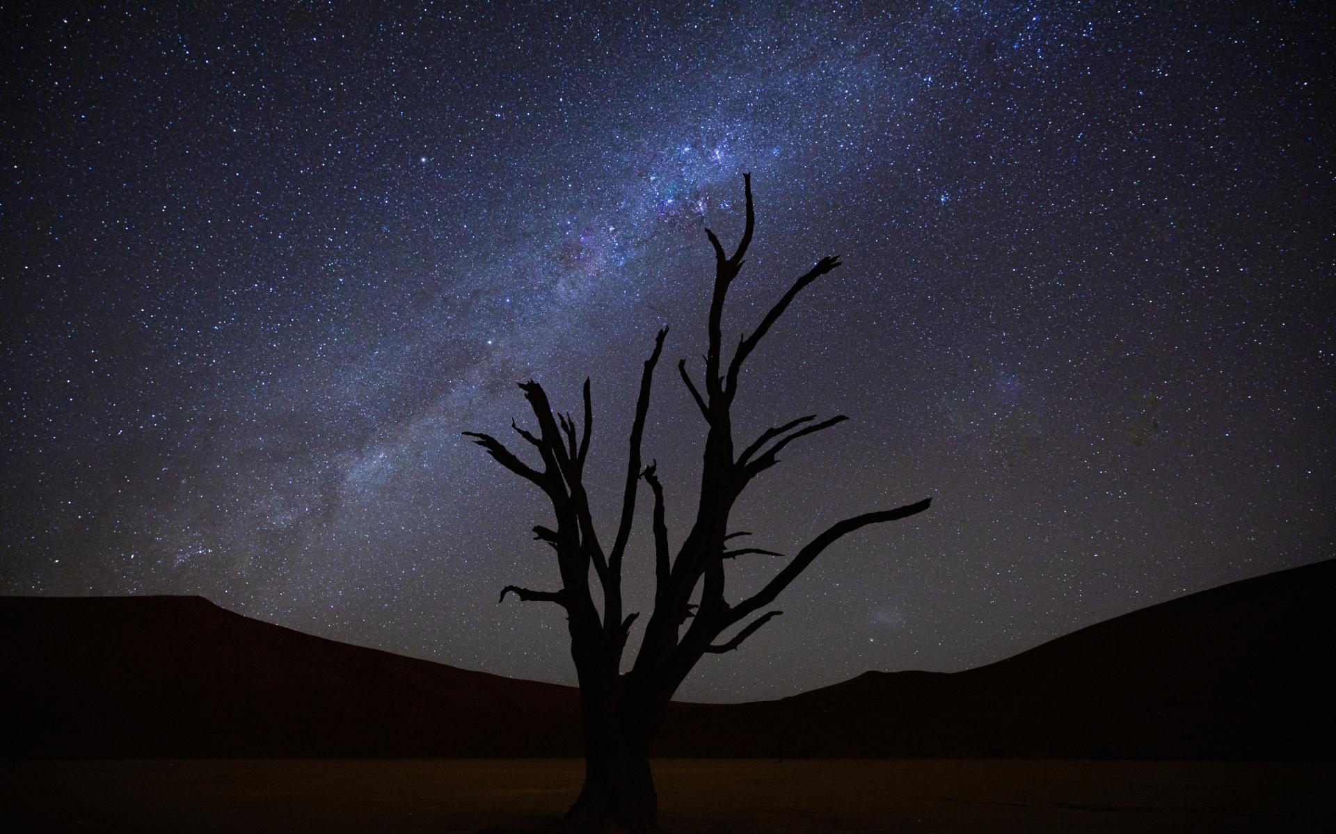 New York Photography Awards Winner - Beautiful Night Sky