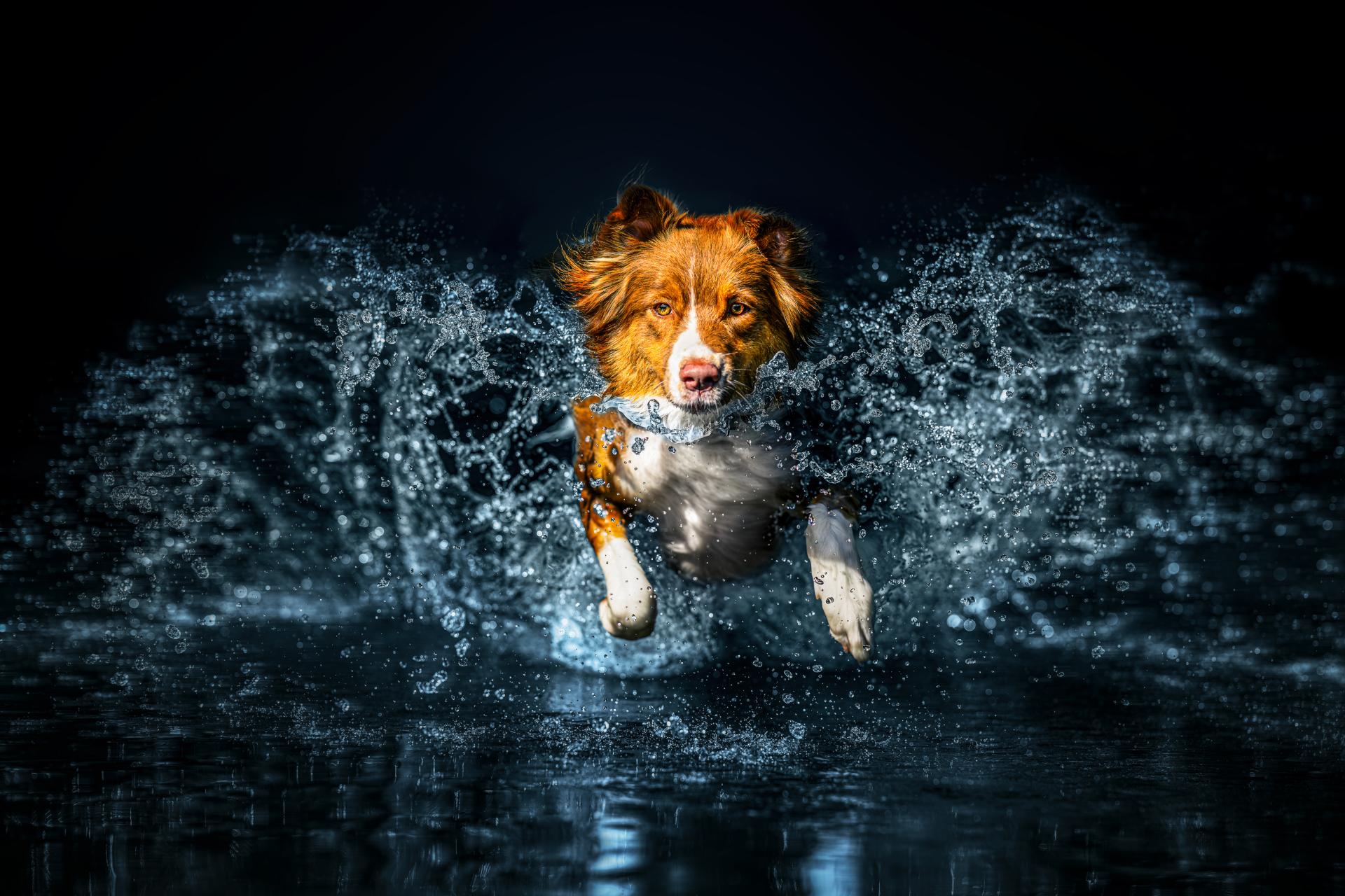 New York Photography Awards Winner - In the Heart of Splash