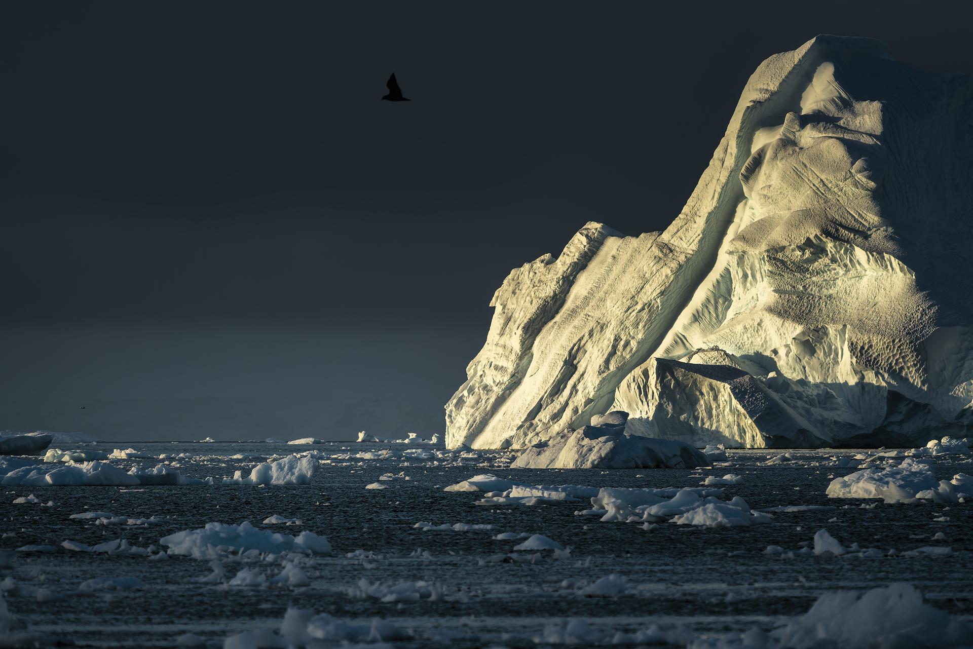 New York Photography Awards Winner - The Drift of the Giant