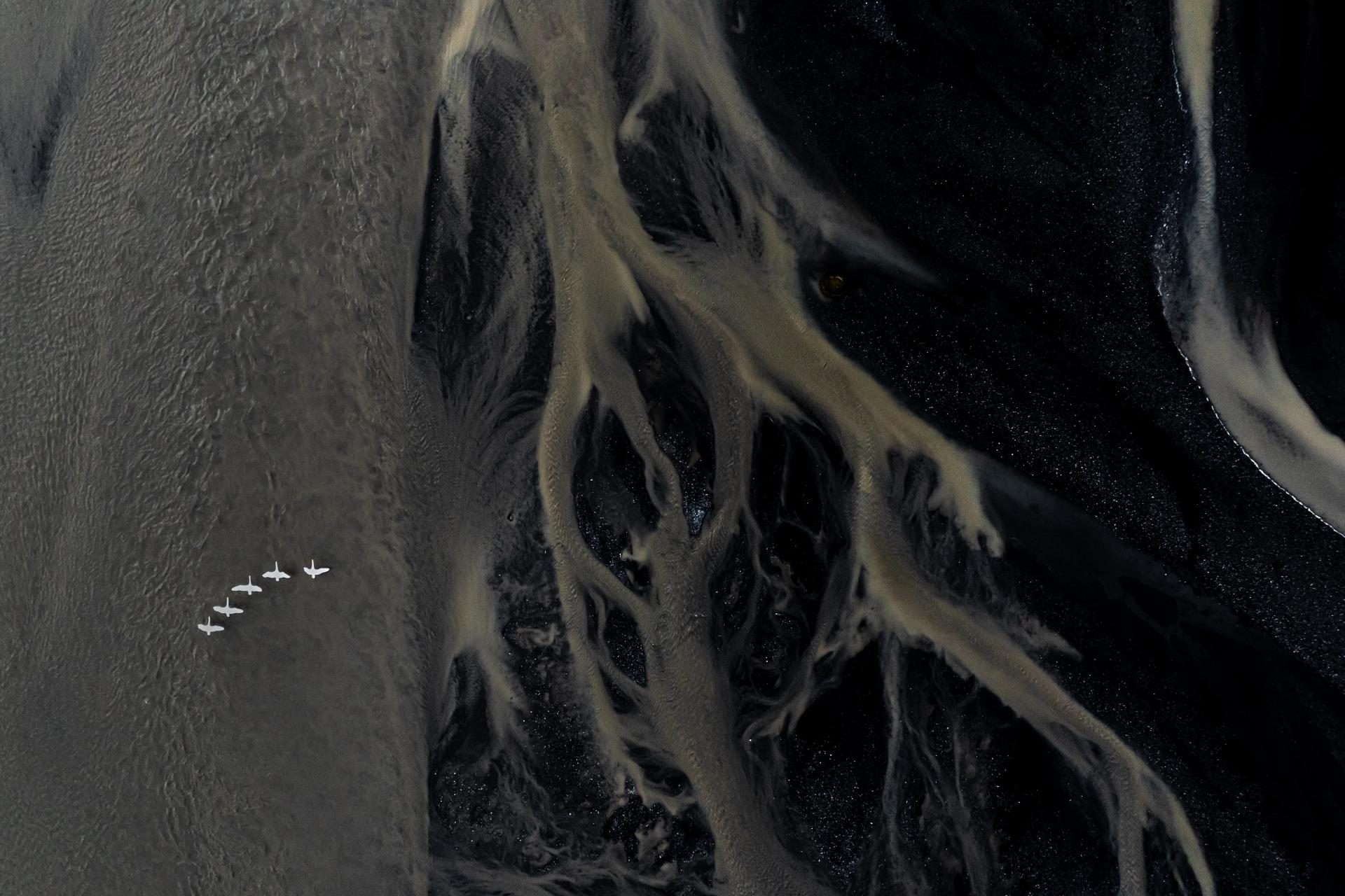 New York Photography Awards Winner - Winged Wanderers