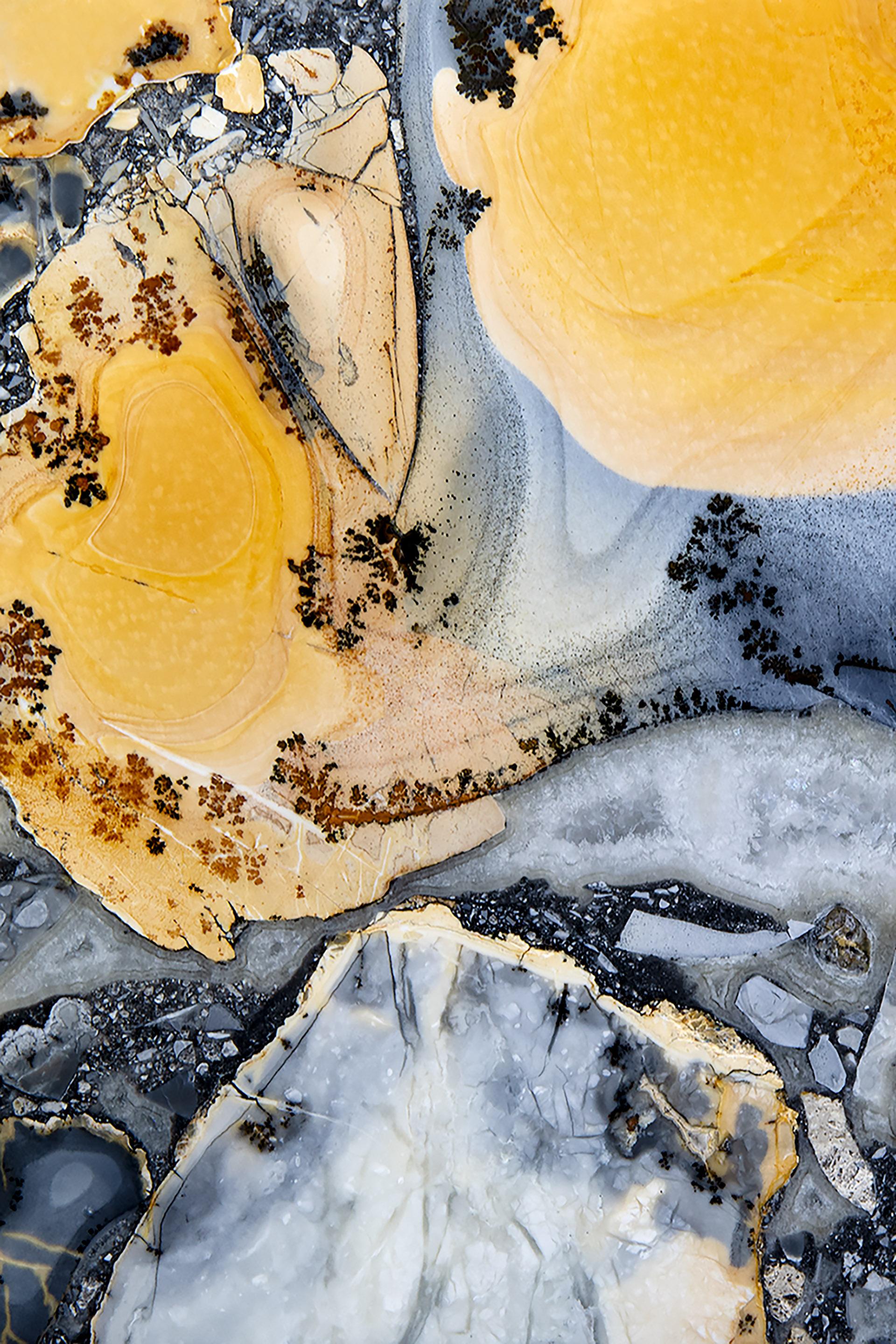 New York Photography Awards Winner - Stroll in the Primordial Countryside