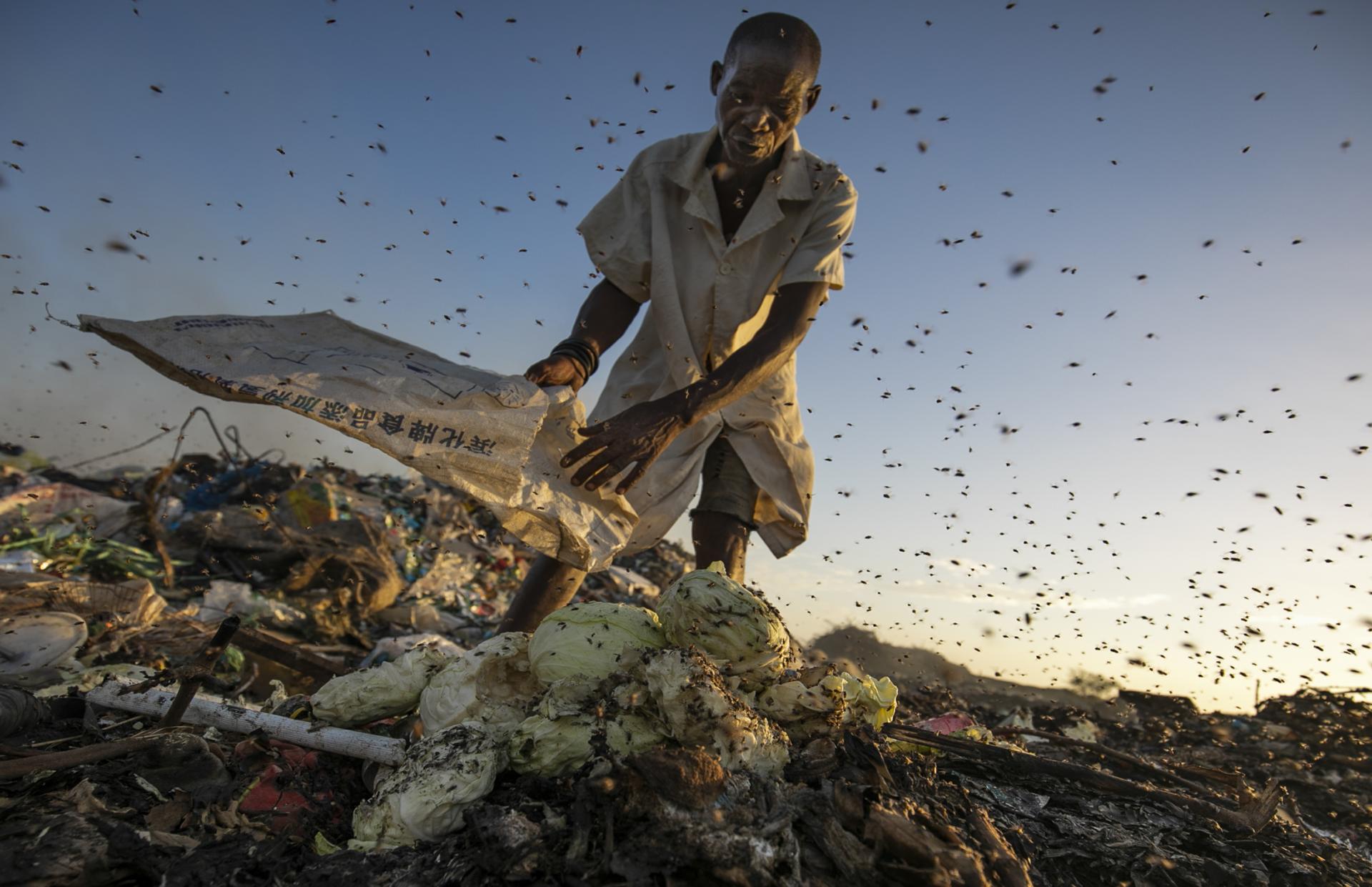 New York Photography Awards Winner - The forgotten