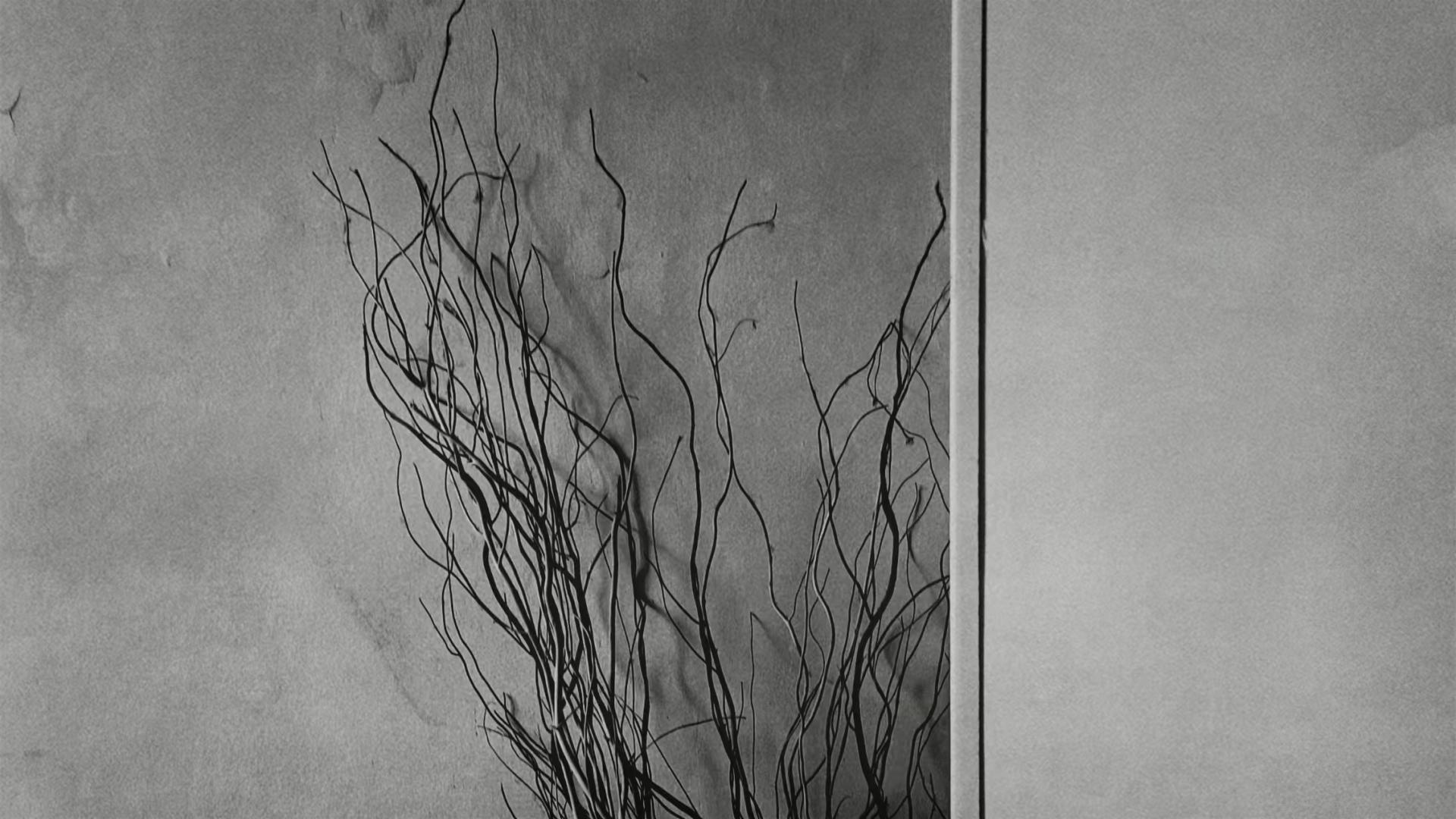 New York Photography Awards Winner - Memory, Traces